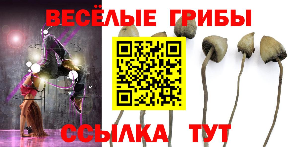 Галлюциногенные грибы GOLDEN TEACHER Россошь
