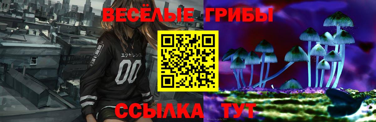 закладка  Галлюциногенные грибы мухоморы  Вход с VPN  Россошь 